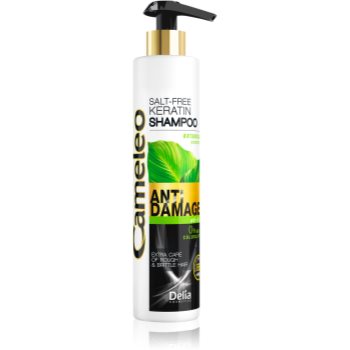 Delia Cosmetics Cameleo BB Sampon cu keratina pentru par deteriorat - imagine 2